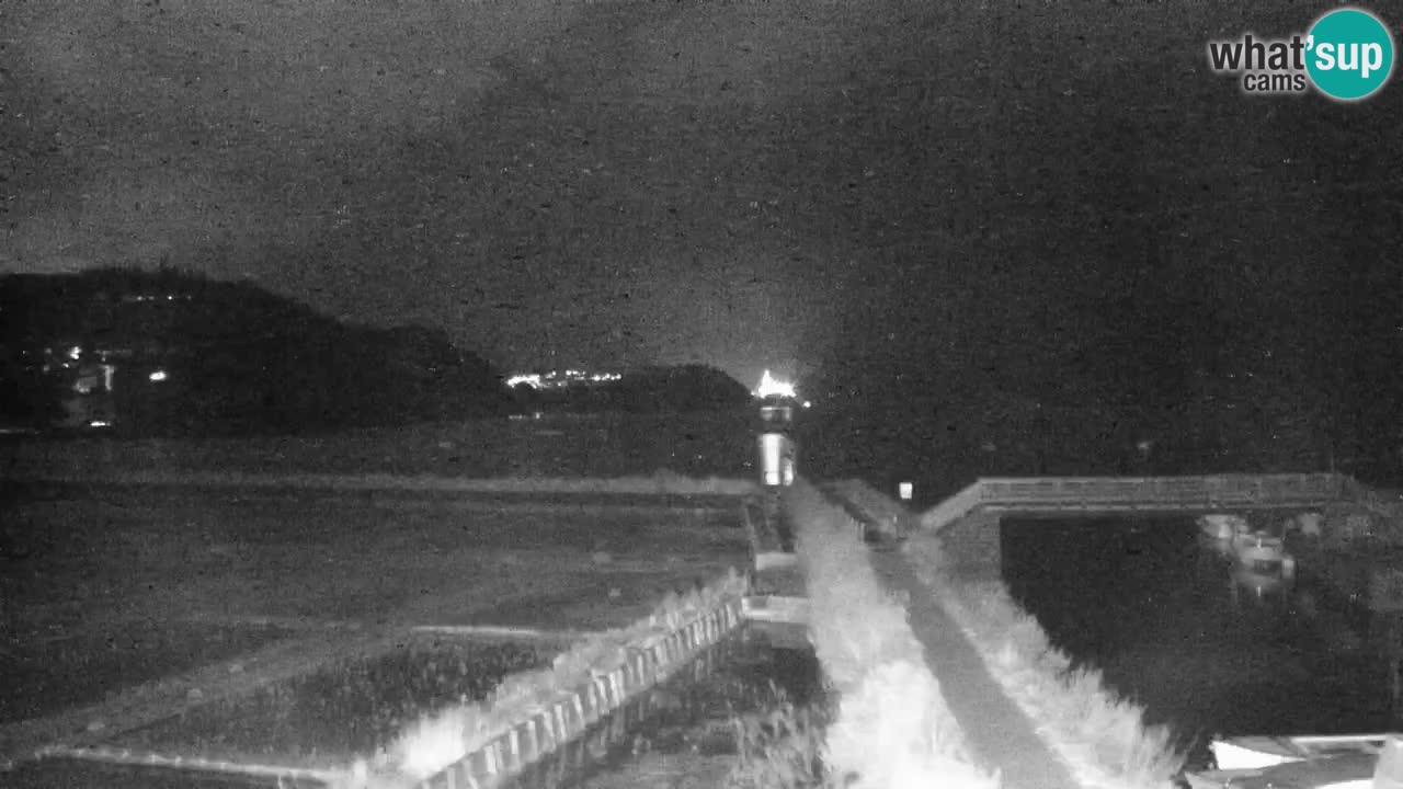 Krajinski park Strunjan v živo