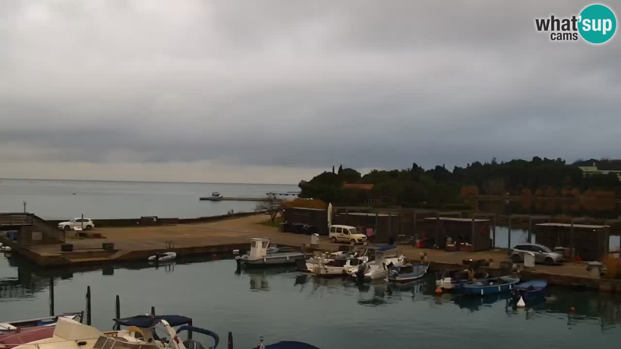 Krajinski park Strunjan