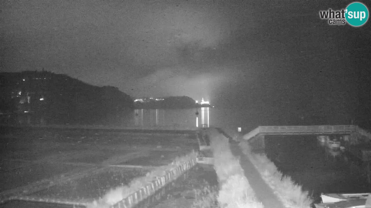 Krajinski park Strunjan u živo