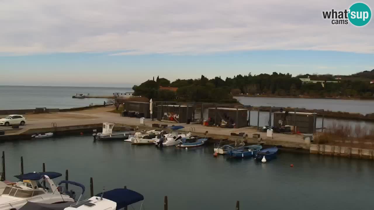 Krajinski park Strunjan u živo