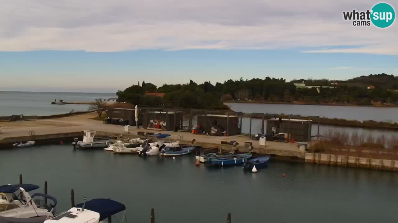 Krajinski park Strunjan v živo