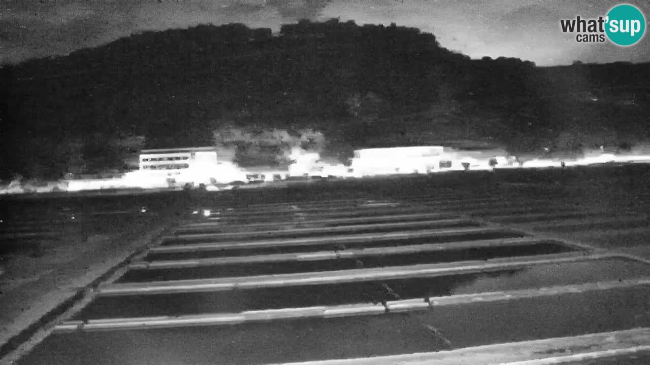 Krajinski park Strunjan