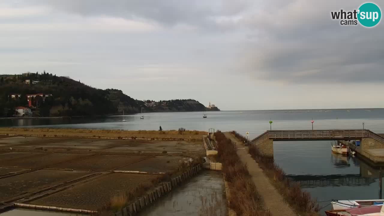 Parco naturale Strugnano