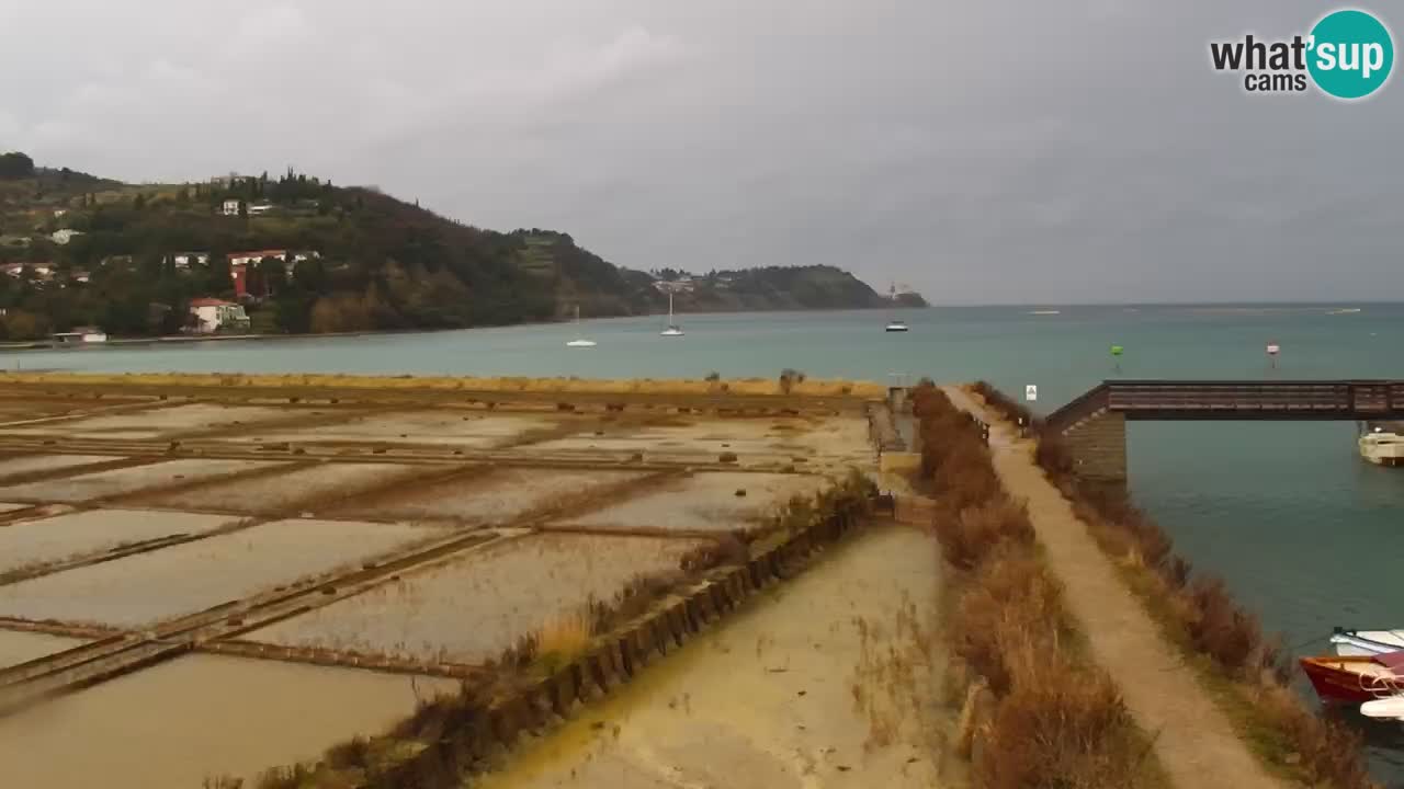 Krajinski park Strunjan