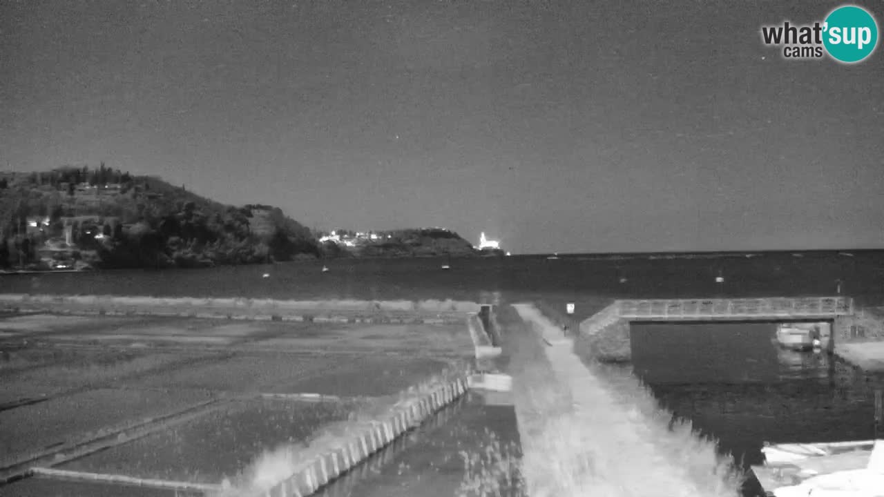 Krajinski park Strunjan u živo