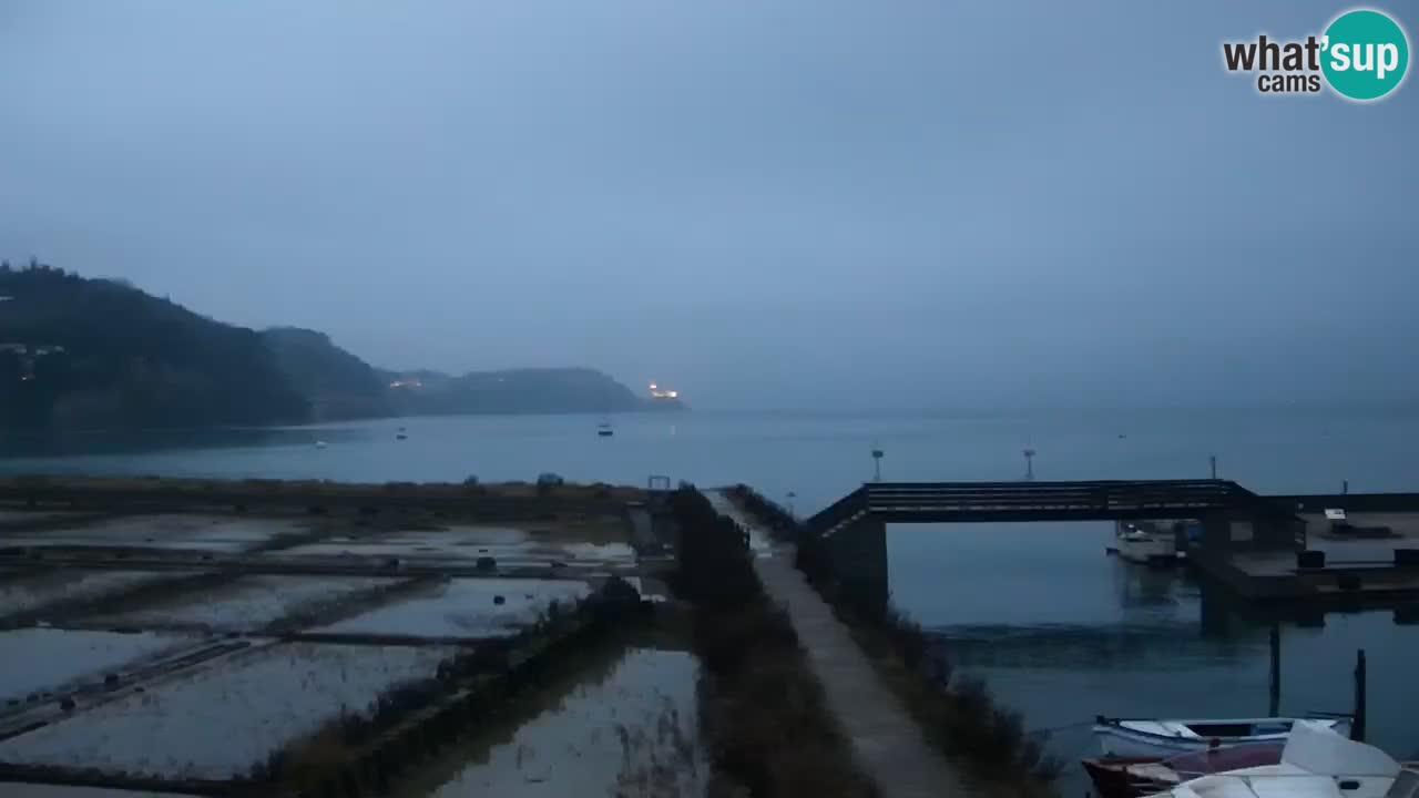 Krajinski park Strunjan