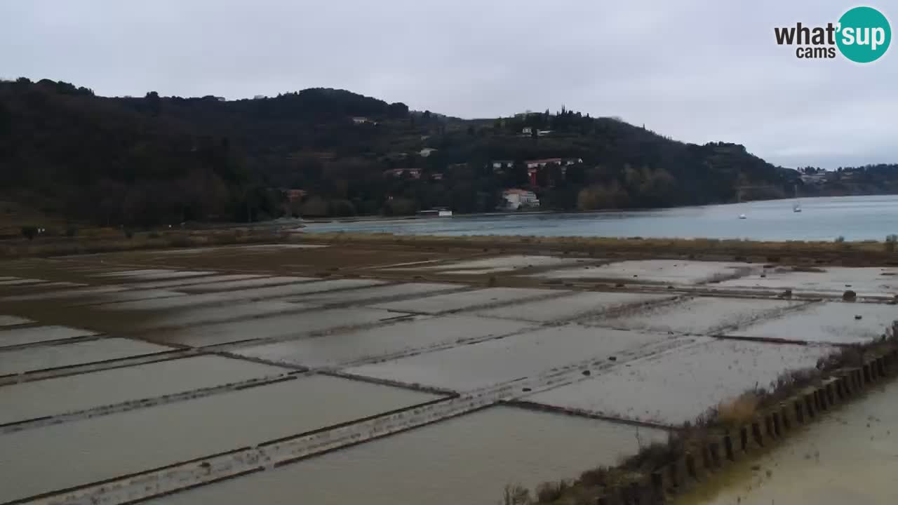 Krajinski park Strunjan