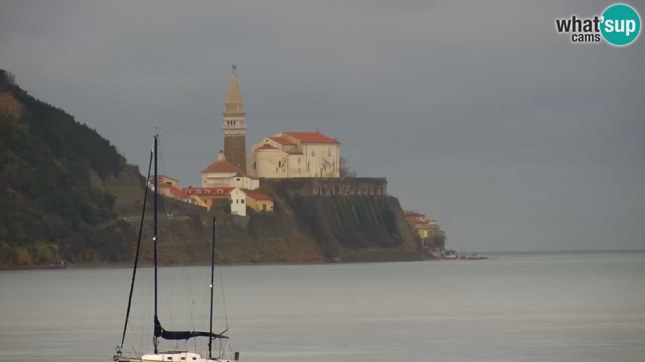 Krajinski park Strunjan v živo