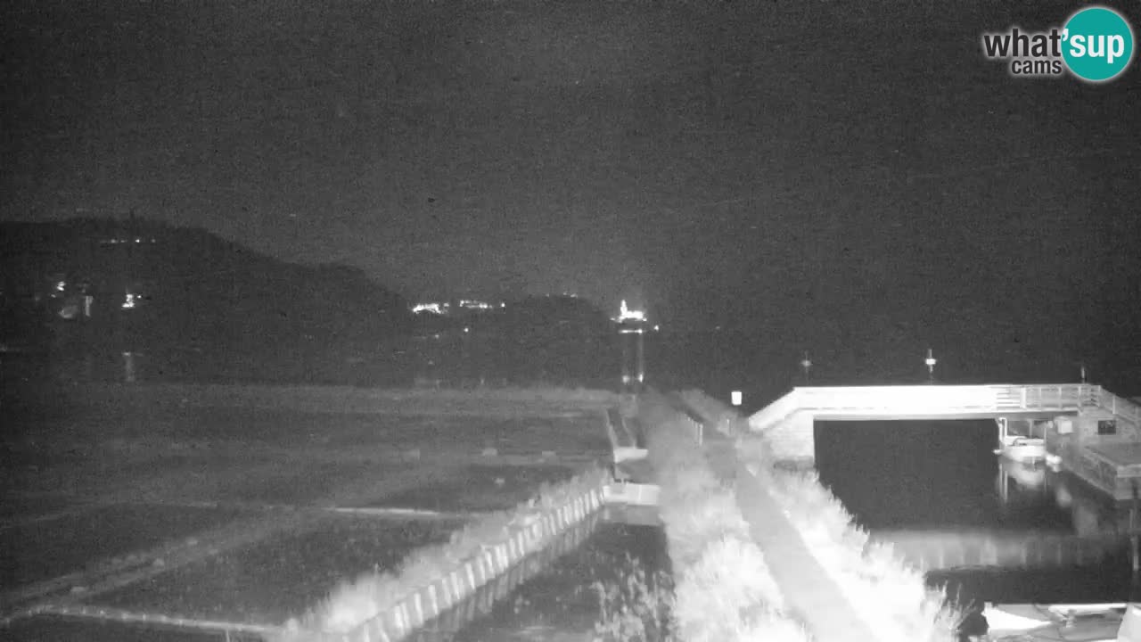 Krajinski park Strunjan v živo