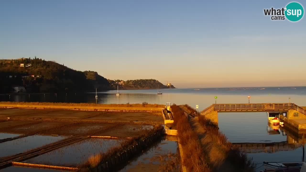 Krajinski park Strunjan