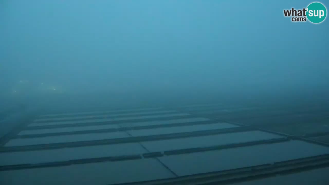 Krajinski park Strunjan