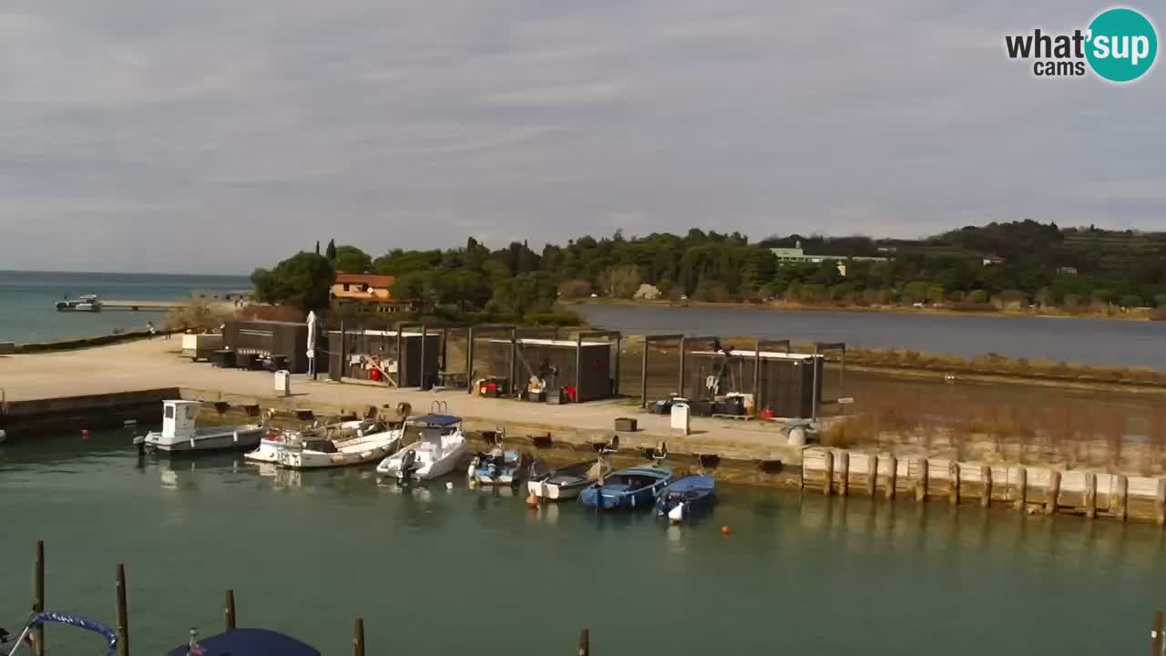 Krajinski park Strunjan v živo