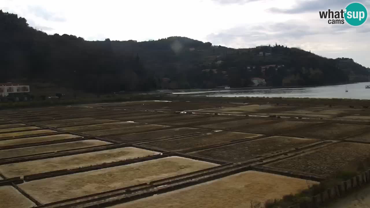 Parco naturale Strugnano