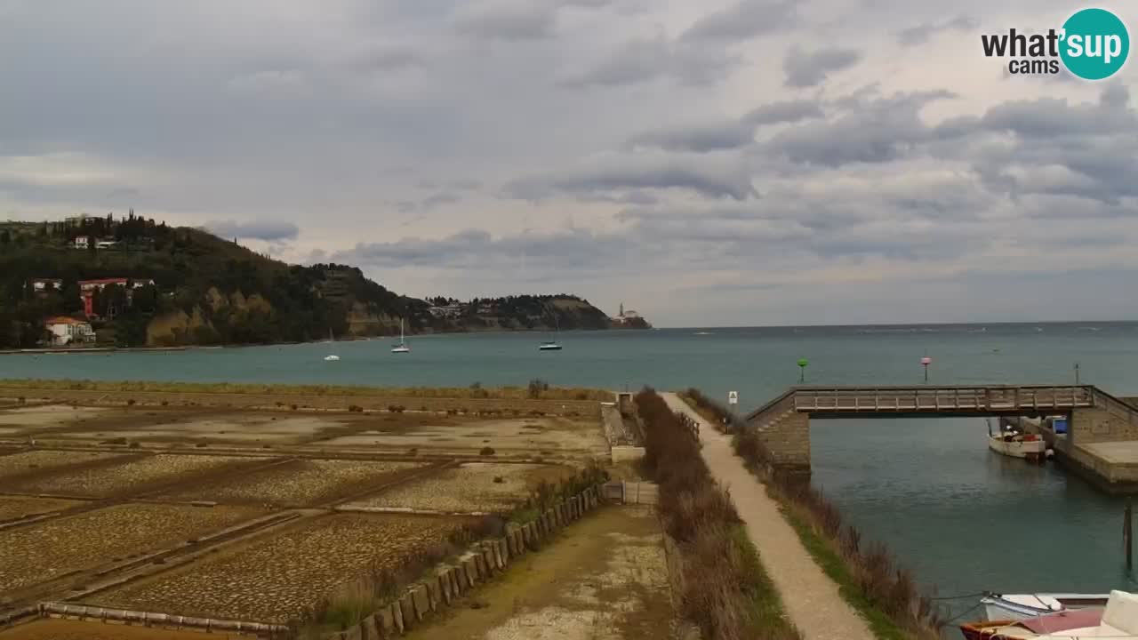 Krajinski park Strunjan