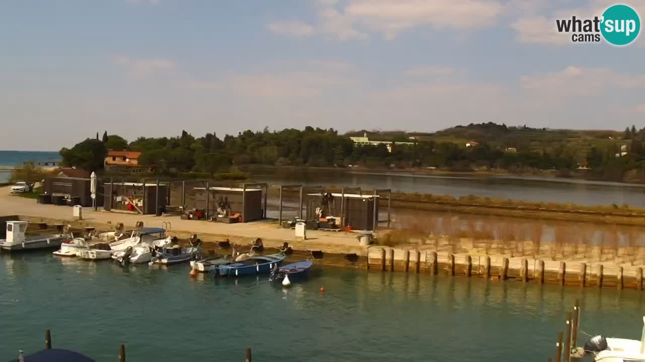 Krajinski park Strunjan v živo