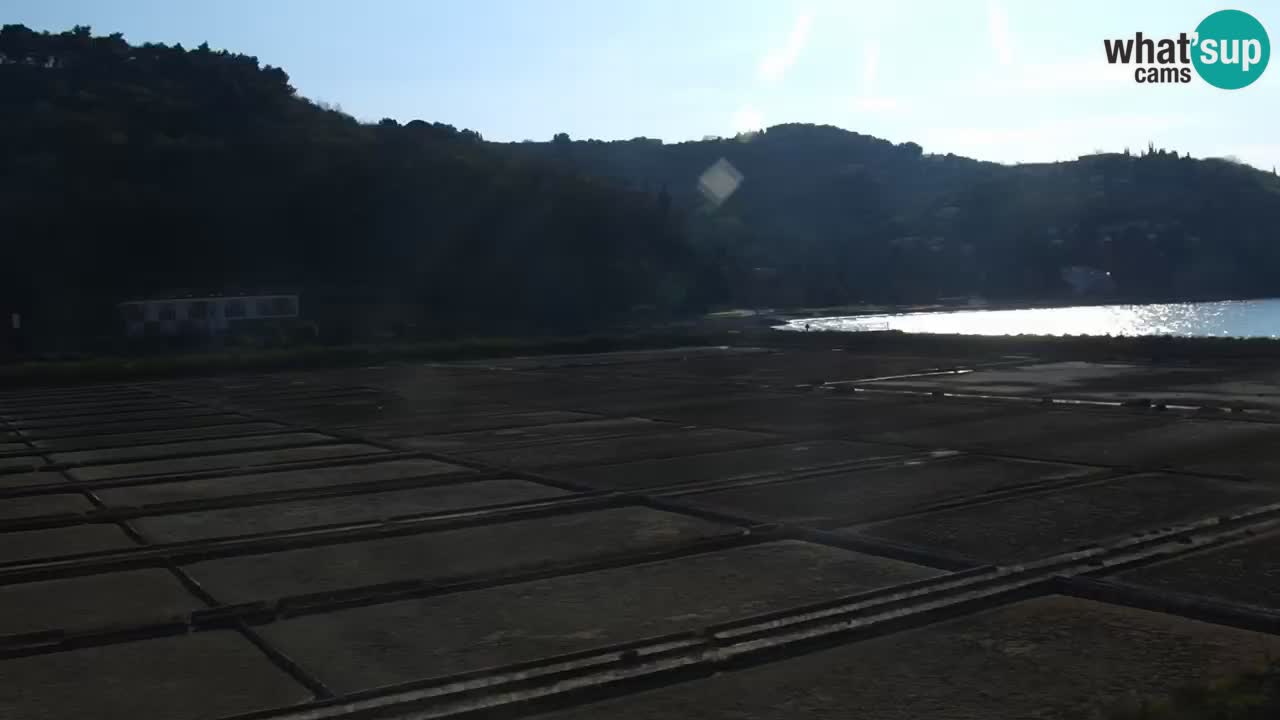 Krajinski park Strunjan v živo