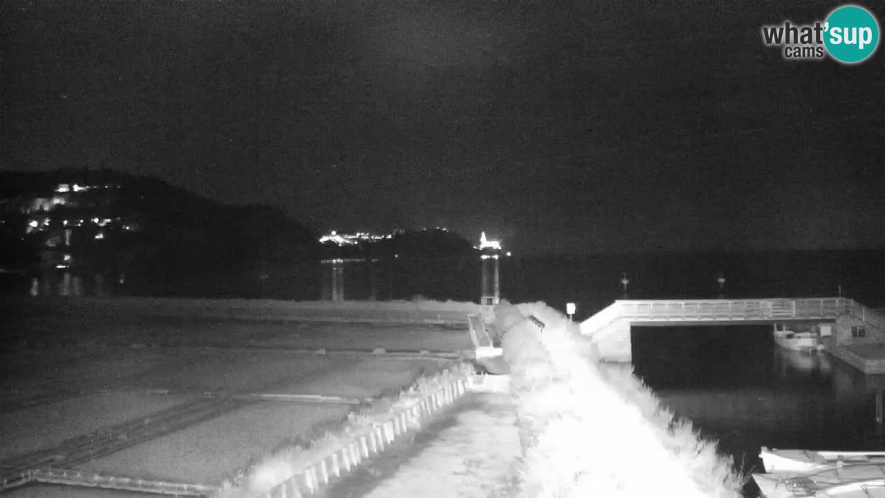 Krajinski park Strunjan