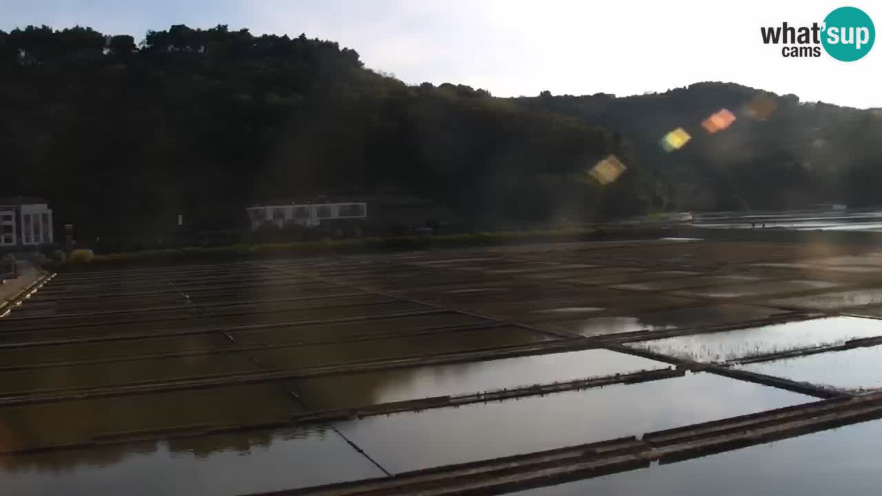 Krajinski park Strunjan