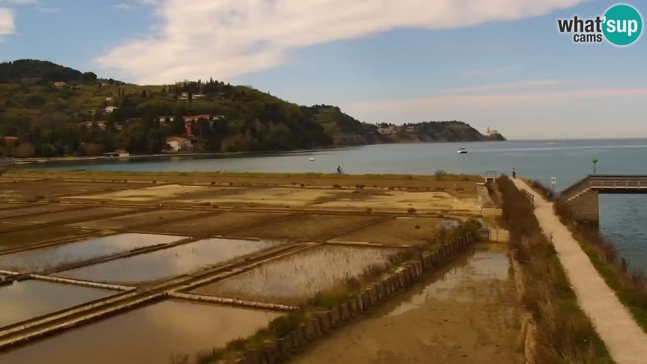 Krajinski park Strunjan v živo