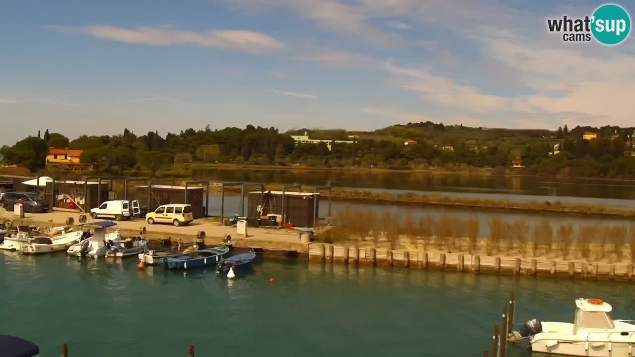 Krajinski park Strunjan v živo