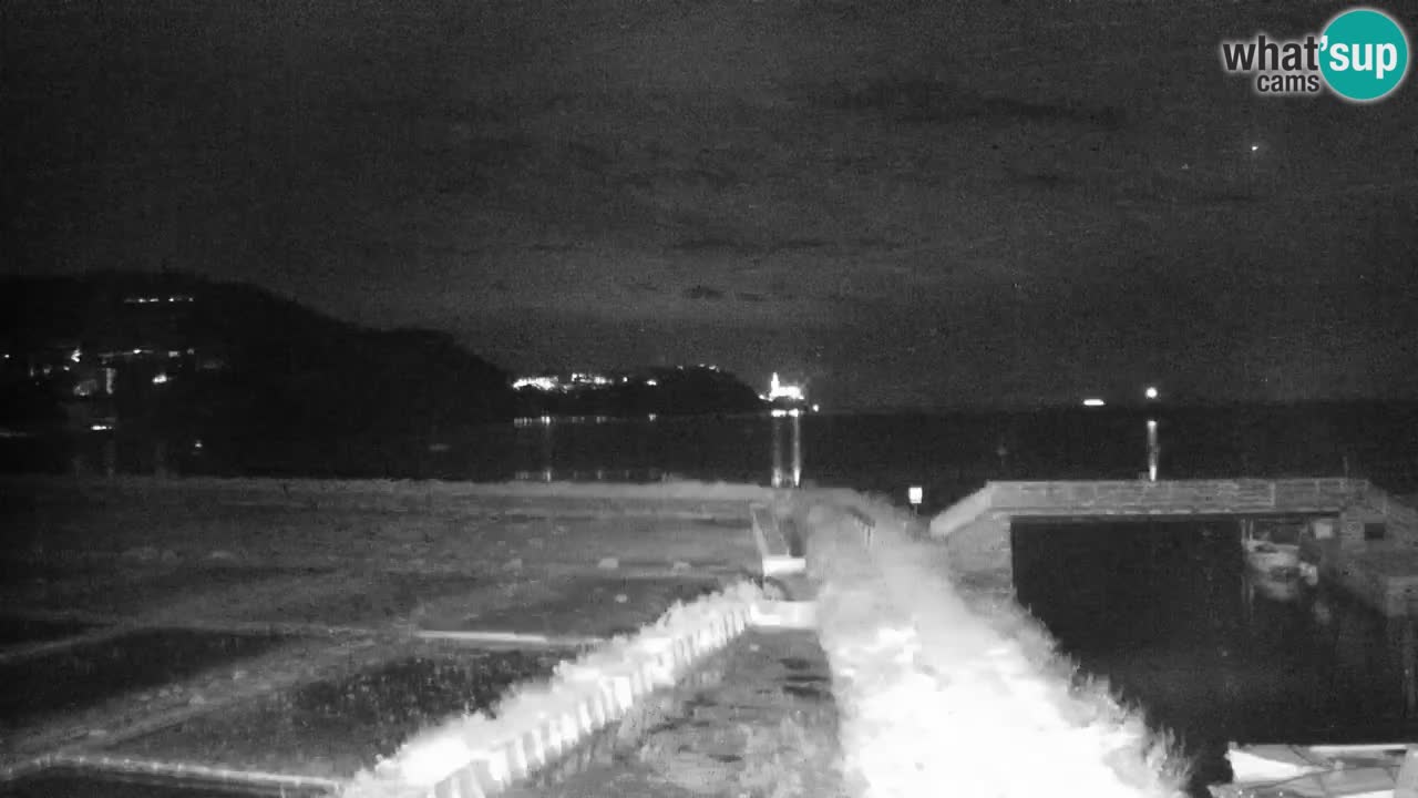 Krajinski park Strunjan u živo