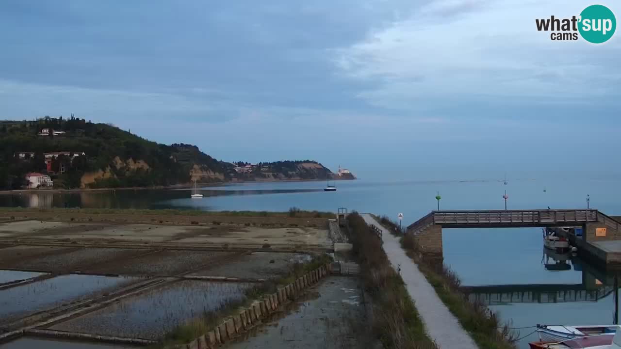 Krajinski park Strunjan