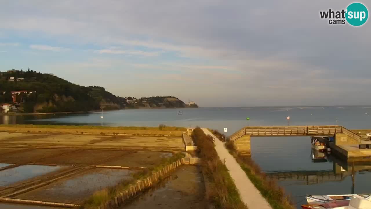 Krajinski park Strunjan