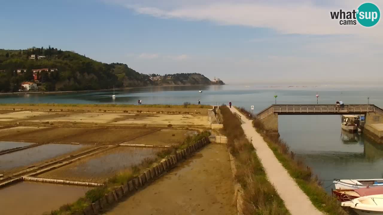 Krajinski park Strunjan v živo