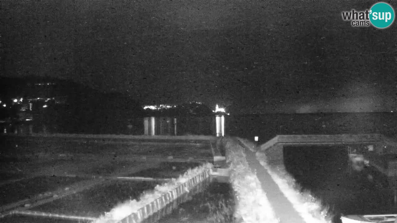 Krajinski park Strunjan u živo