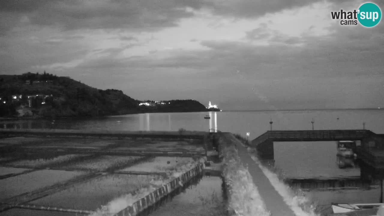 Krajinski park Strunjan