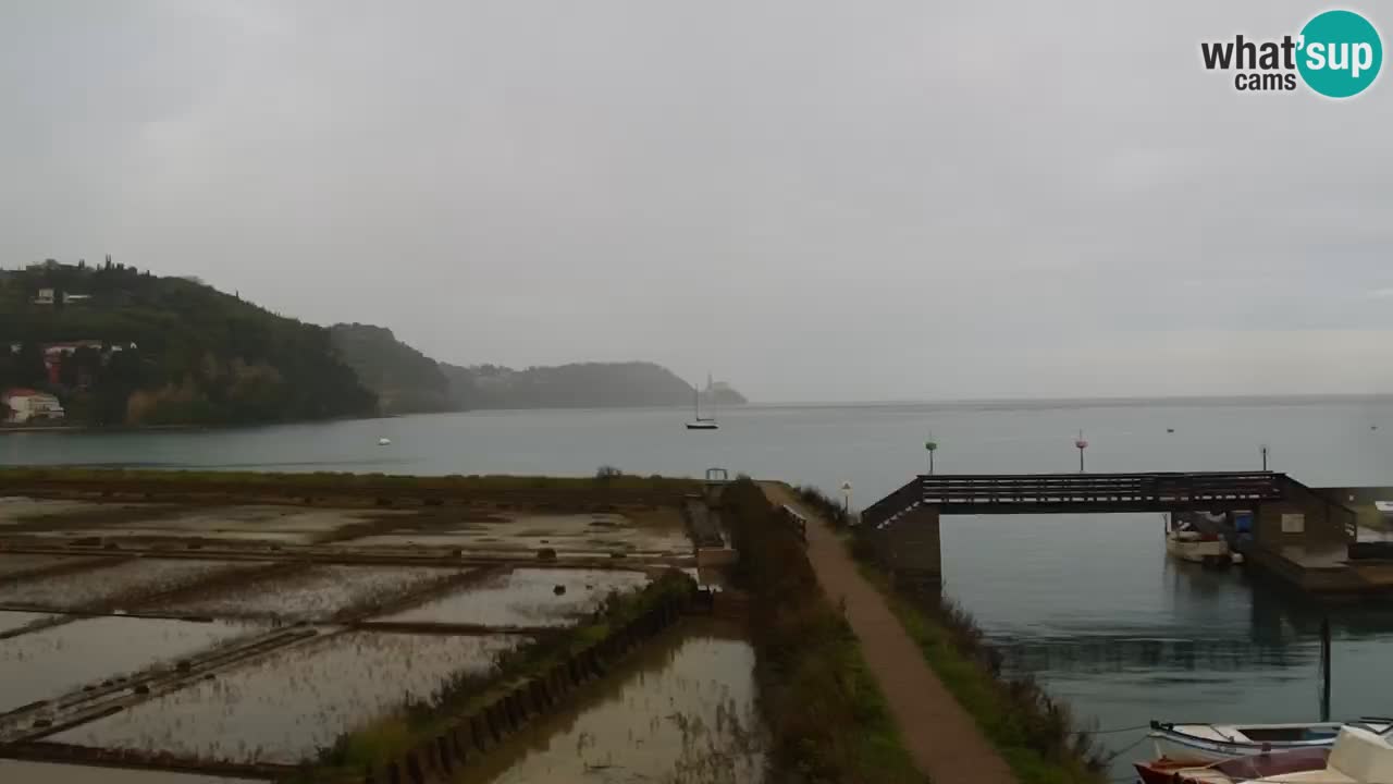 Krajinski park Strunjan