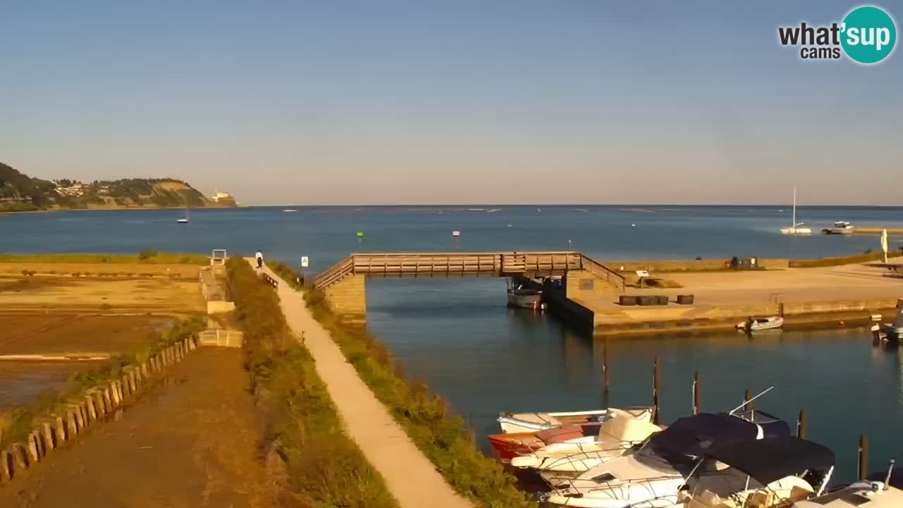 Krajinski park Strunjan v živo