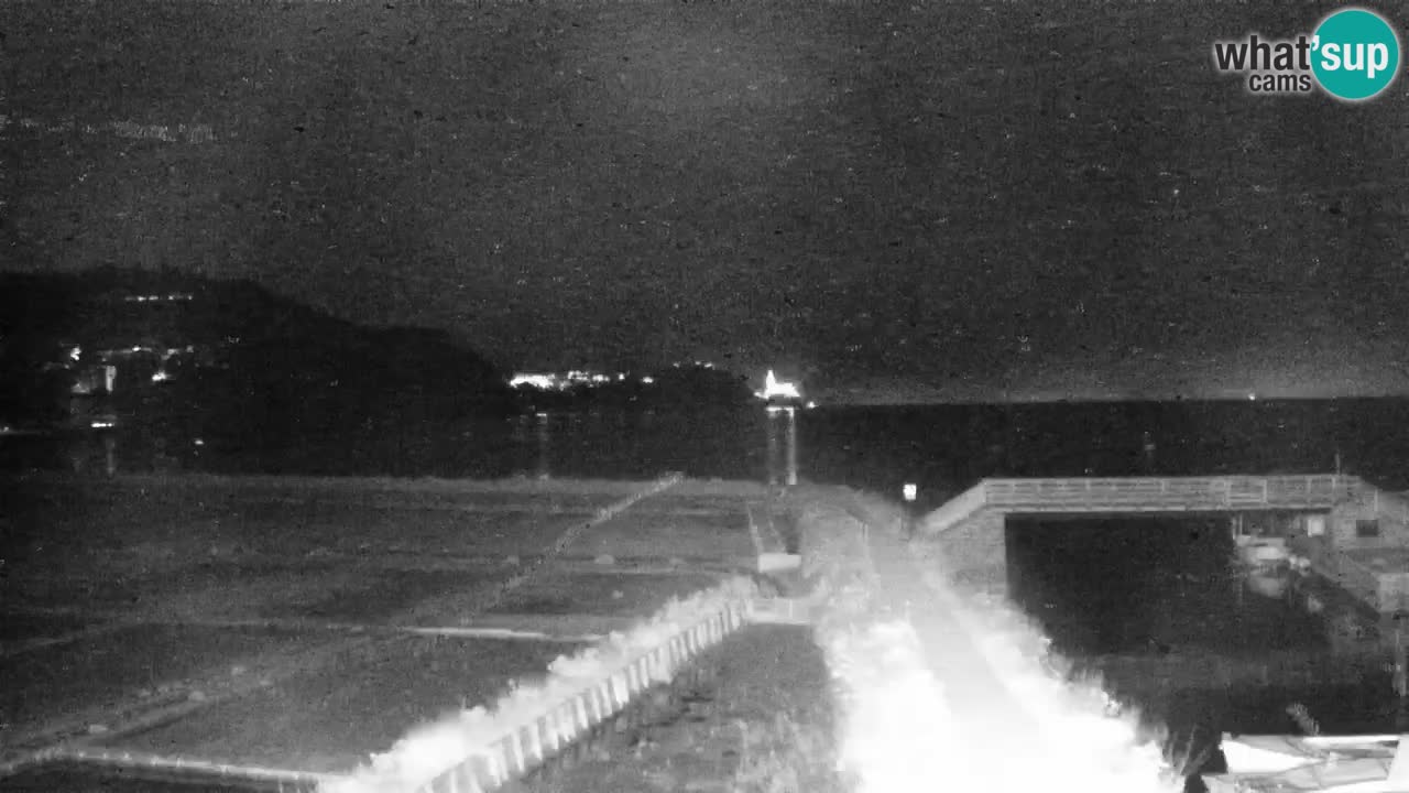 Krajinski park Strunjan v živo