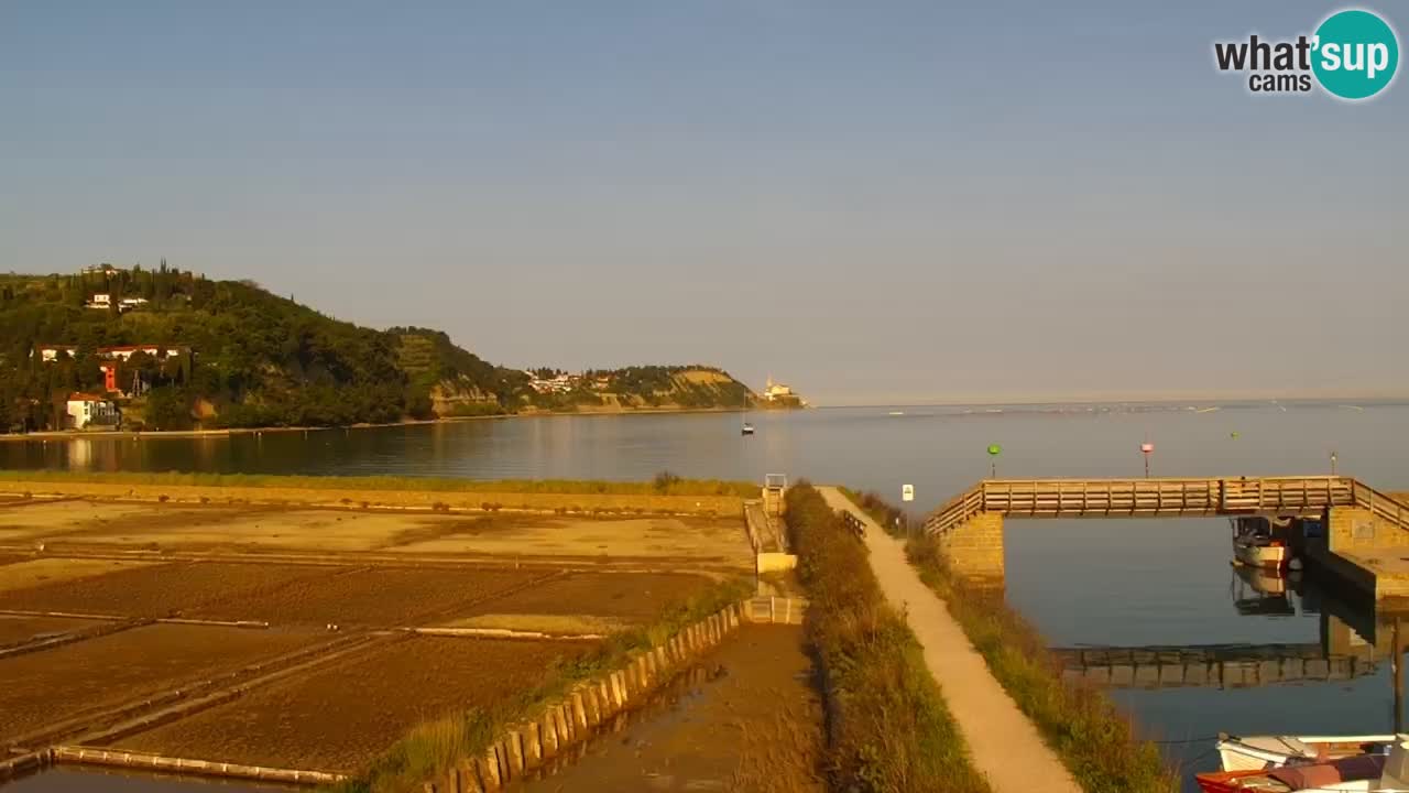 Krajinski park Strunjan