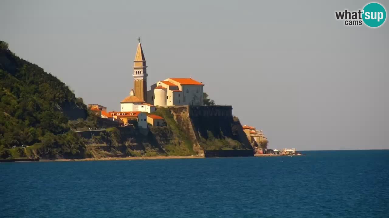 Krajinski park Strunjan v živo
