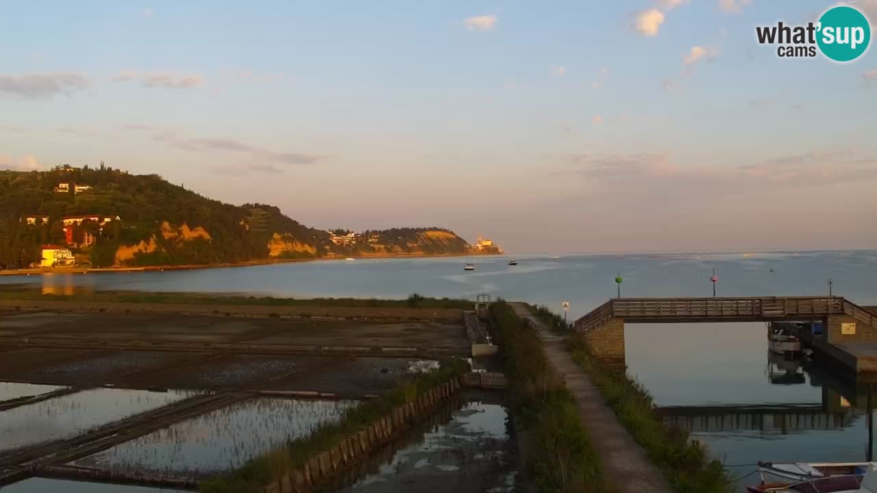 Krajinski park Strunjan
