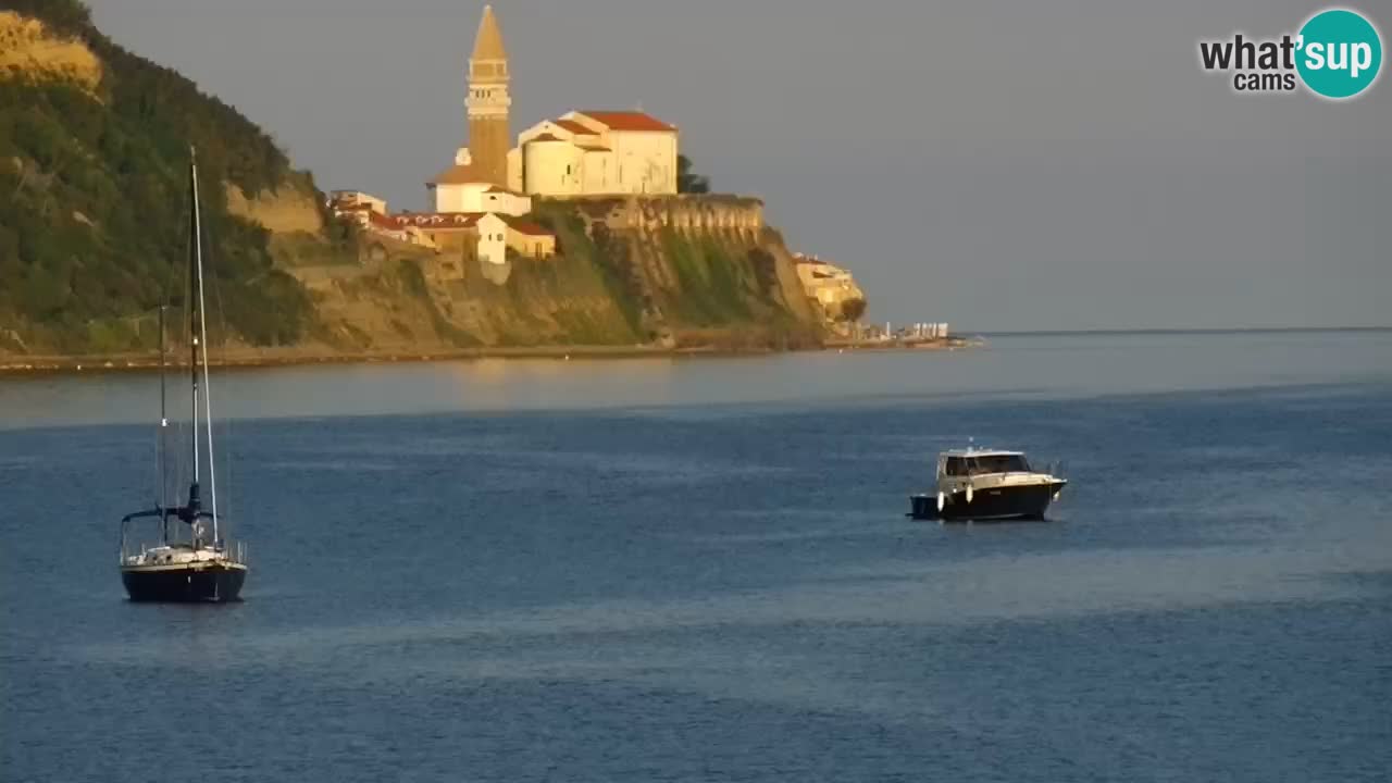 Krajinski park Strunjan u živo