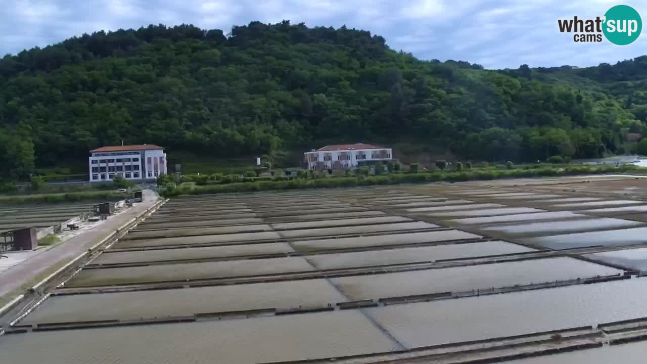 Krajinski park Strunjan