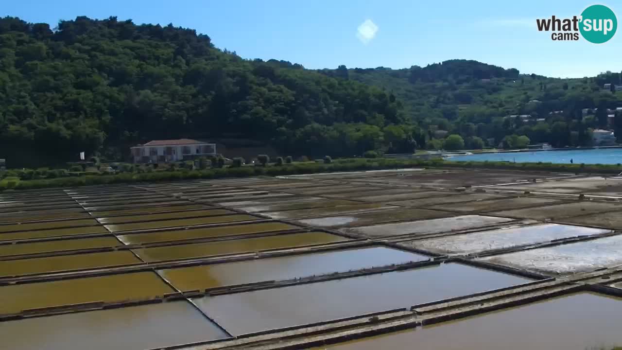 Krajinski park Strunjan