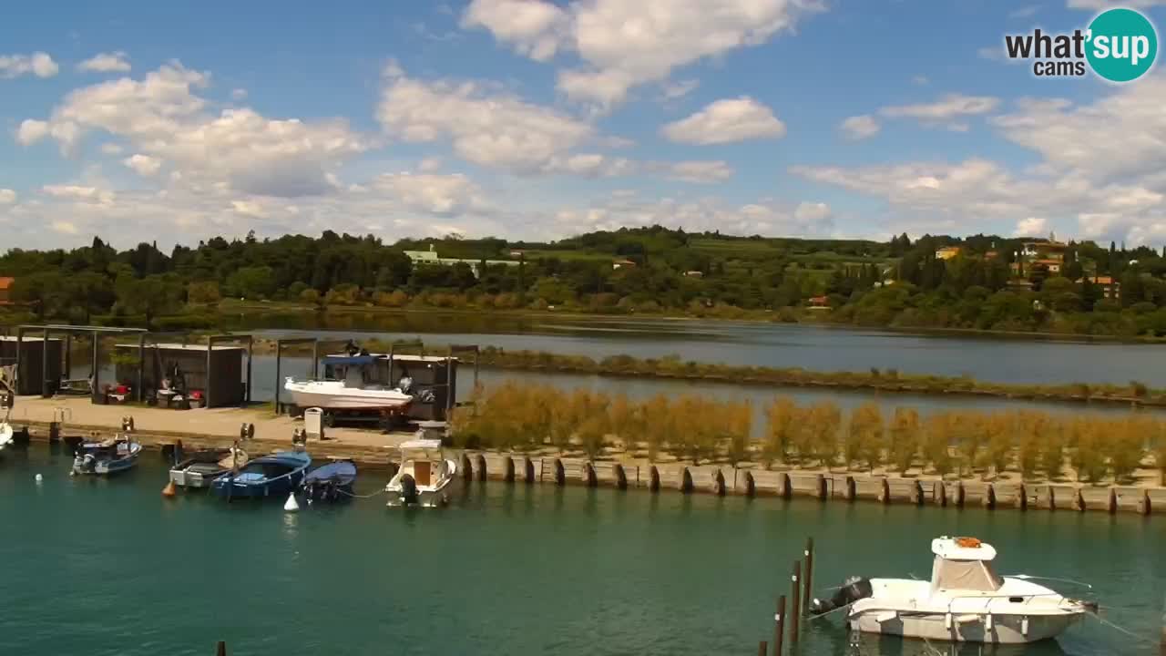 Krajinski park Strunjan u živo