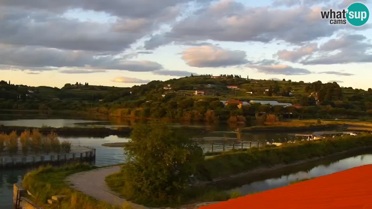 Krajinski park Strunjan v živo