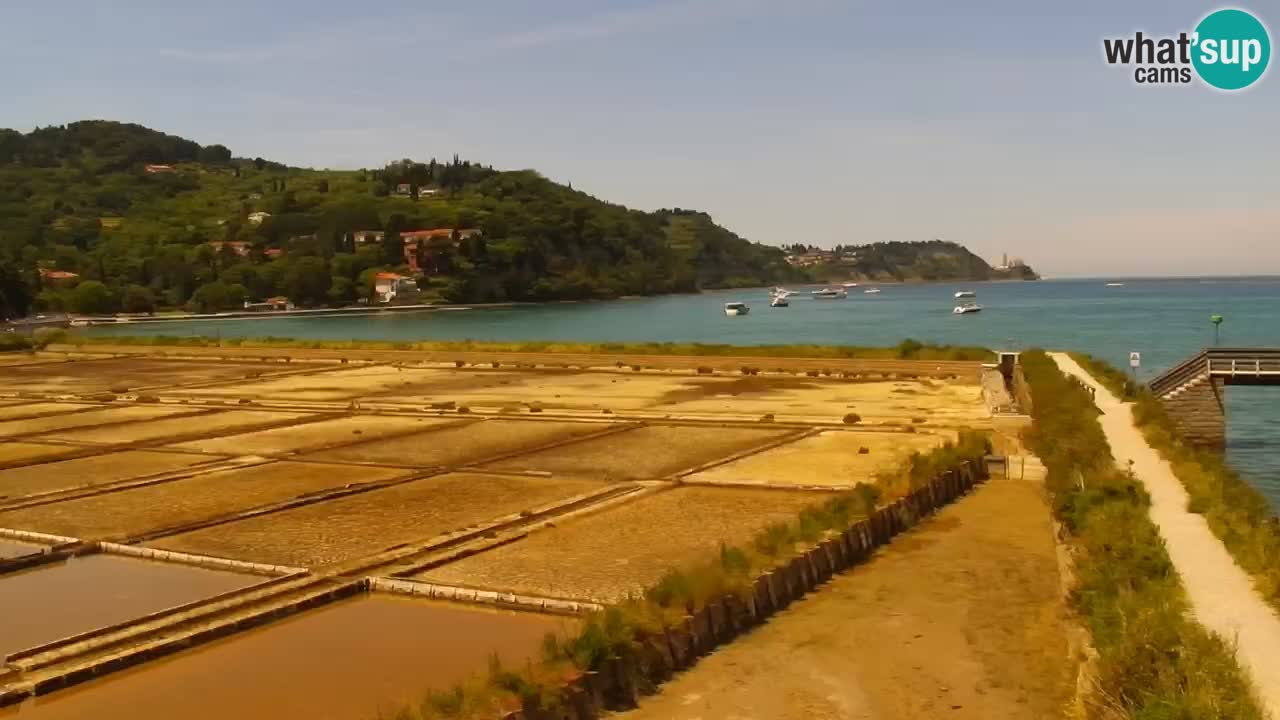 Krajinski park Strunjan