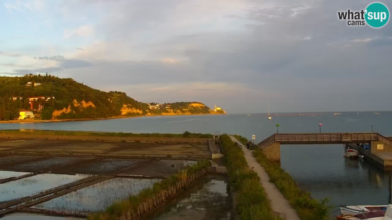 Krajinski park Strunjan