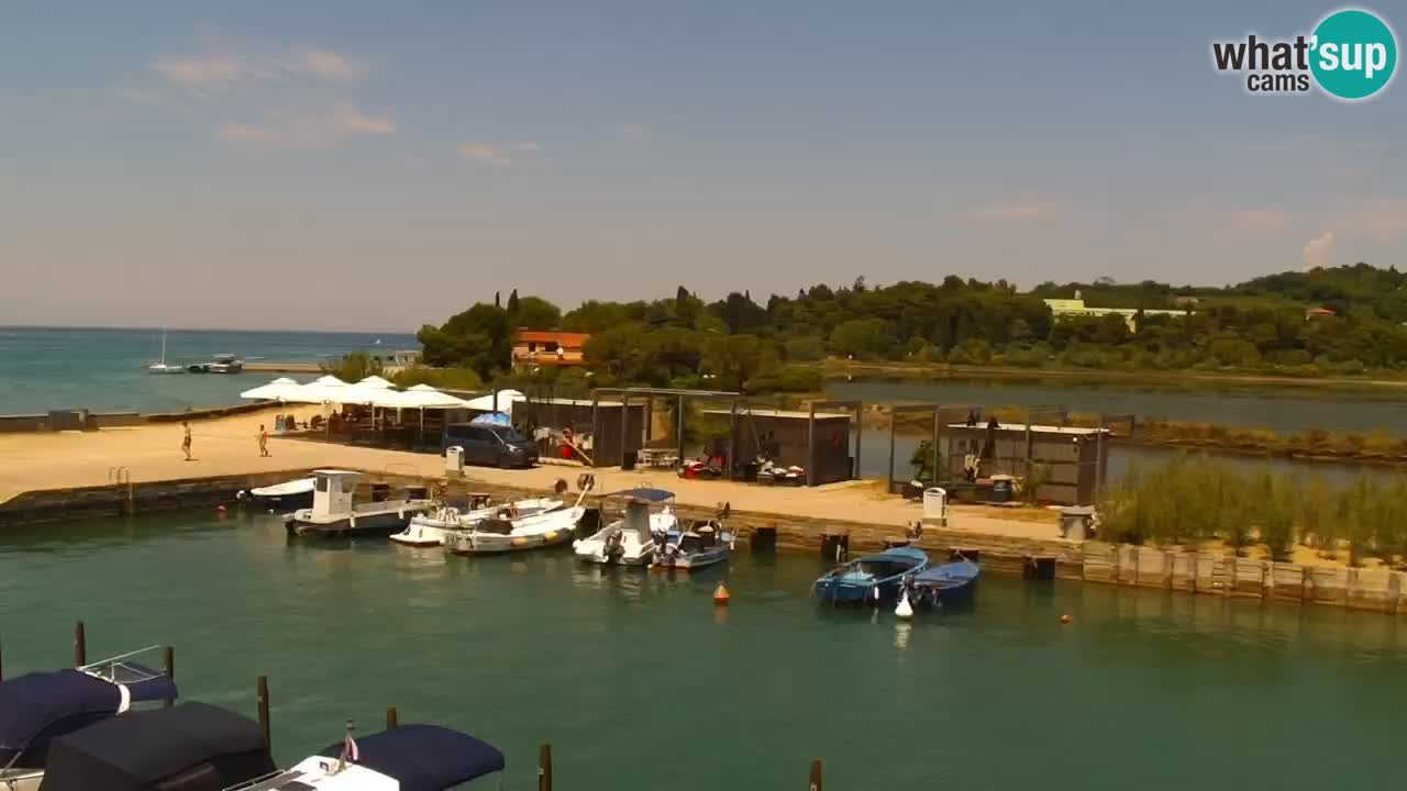 Krajinski park Strunjan u živo