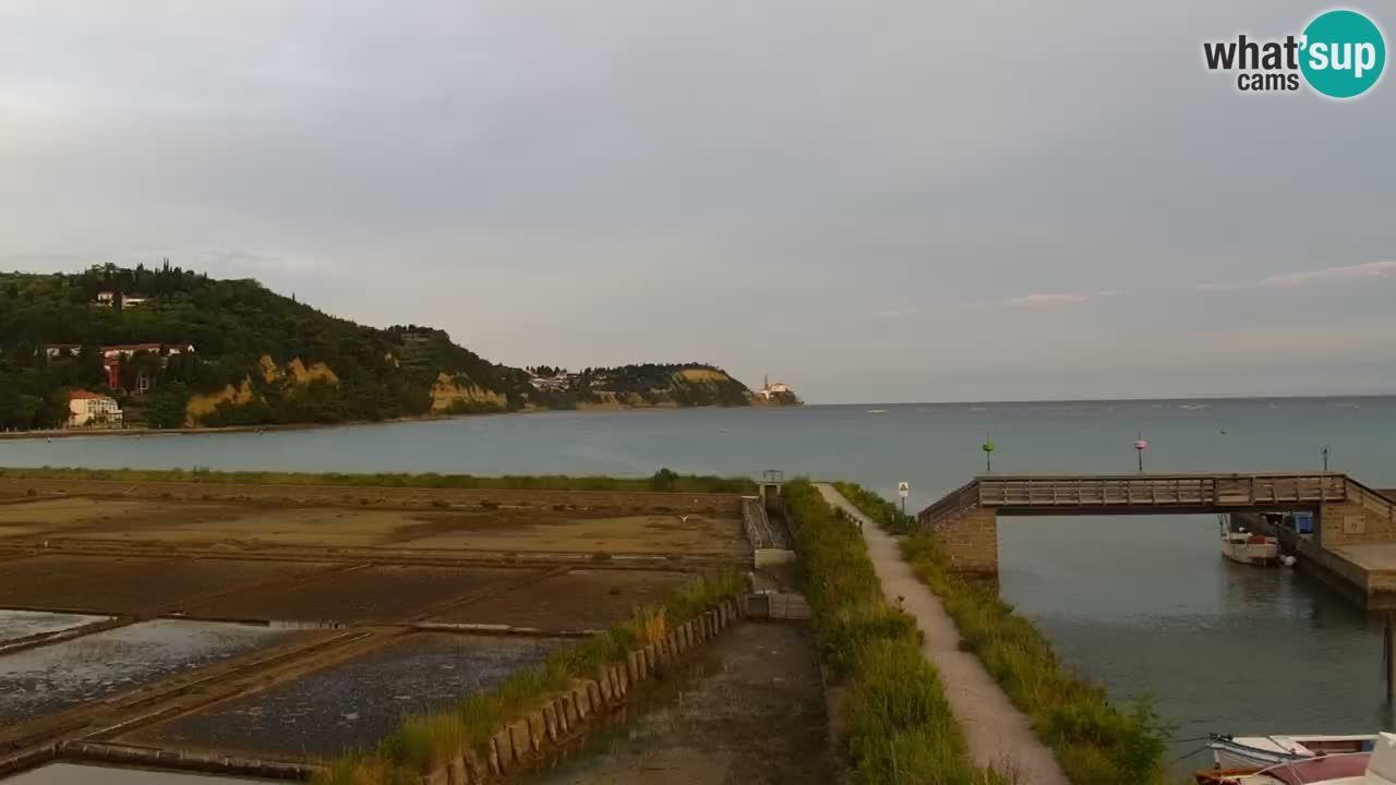 Krajinski park Strunjan u živo