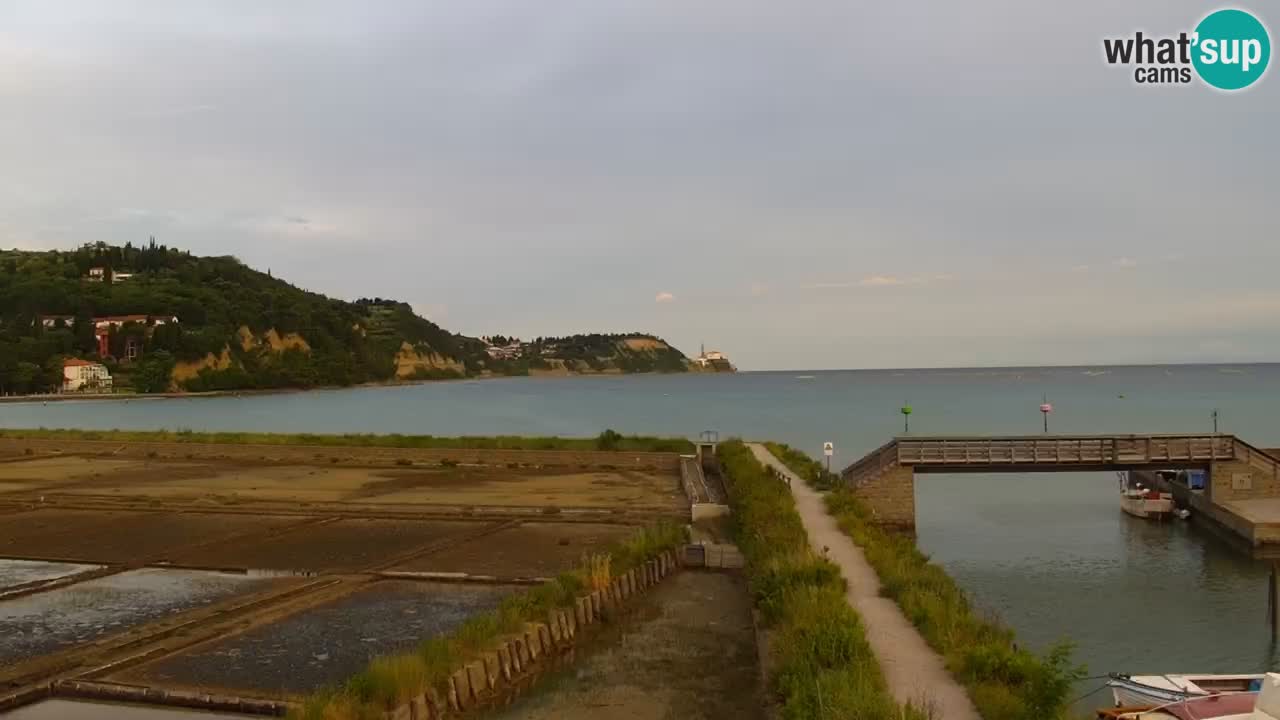 Krajinski park Strunjan