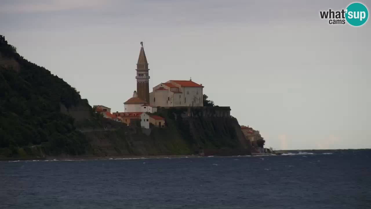 Krajinski park Strunjan v živo