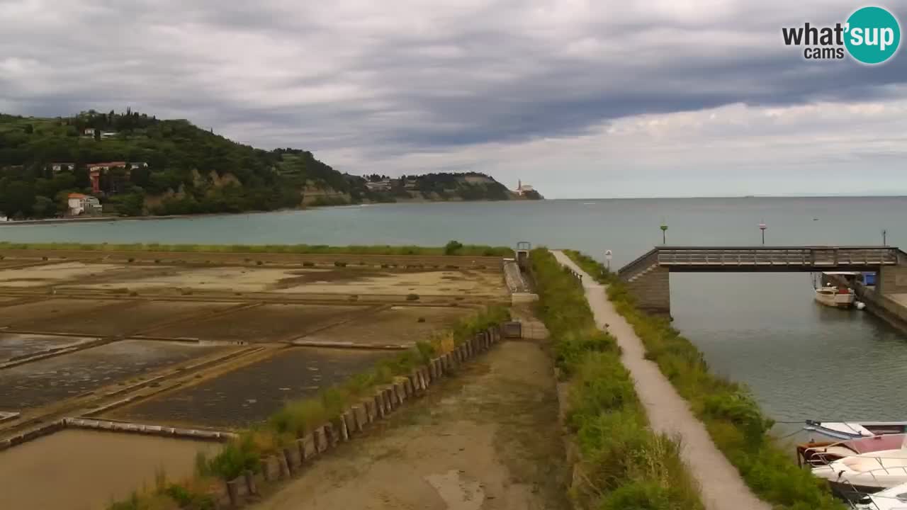 Krajinski park Strunjan u živo