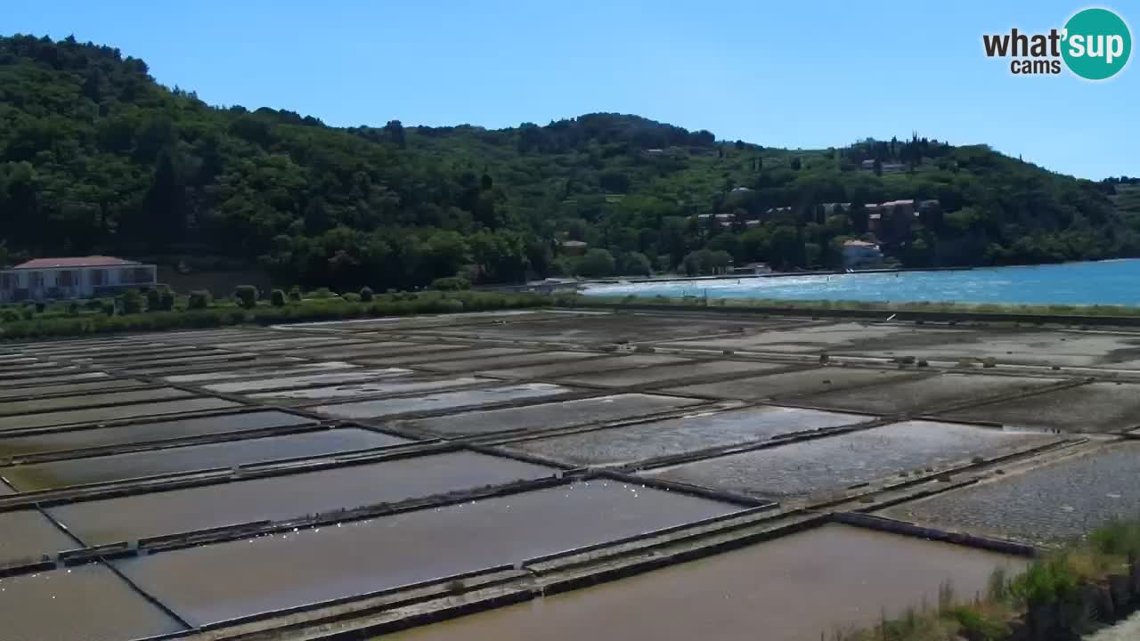 Krajinski park Strunjan
