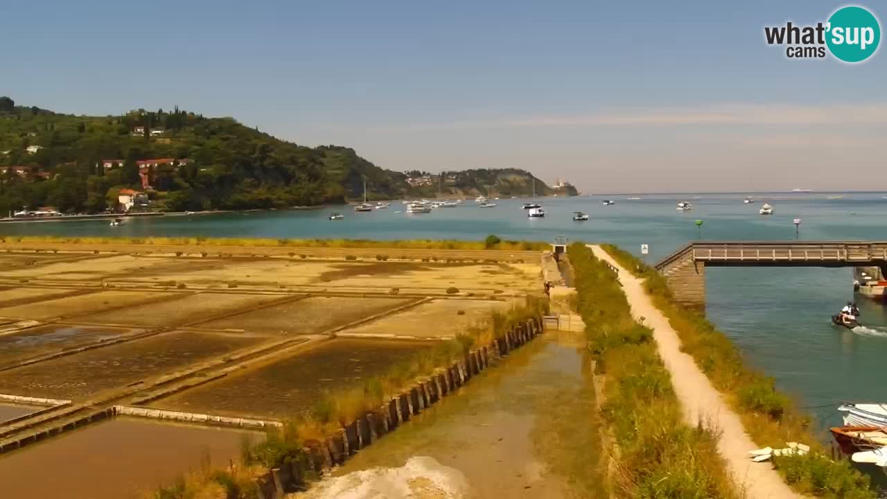 Krajinski park Strunjan